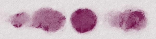 Procreate watercolor brush