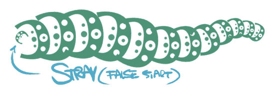 Photoshop can't align your shapes to your path until it knows which direction you are drawing in